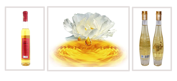 ʳ���͹��b����